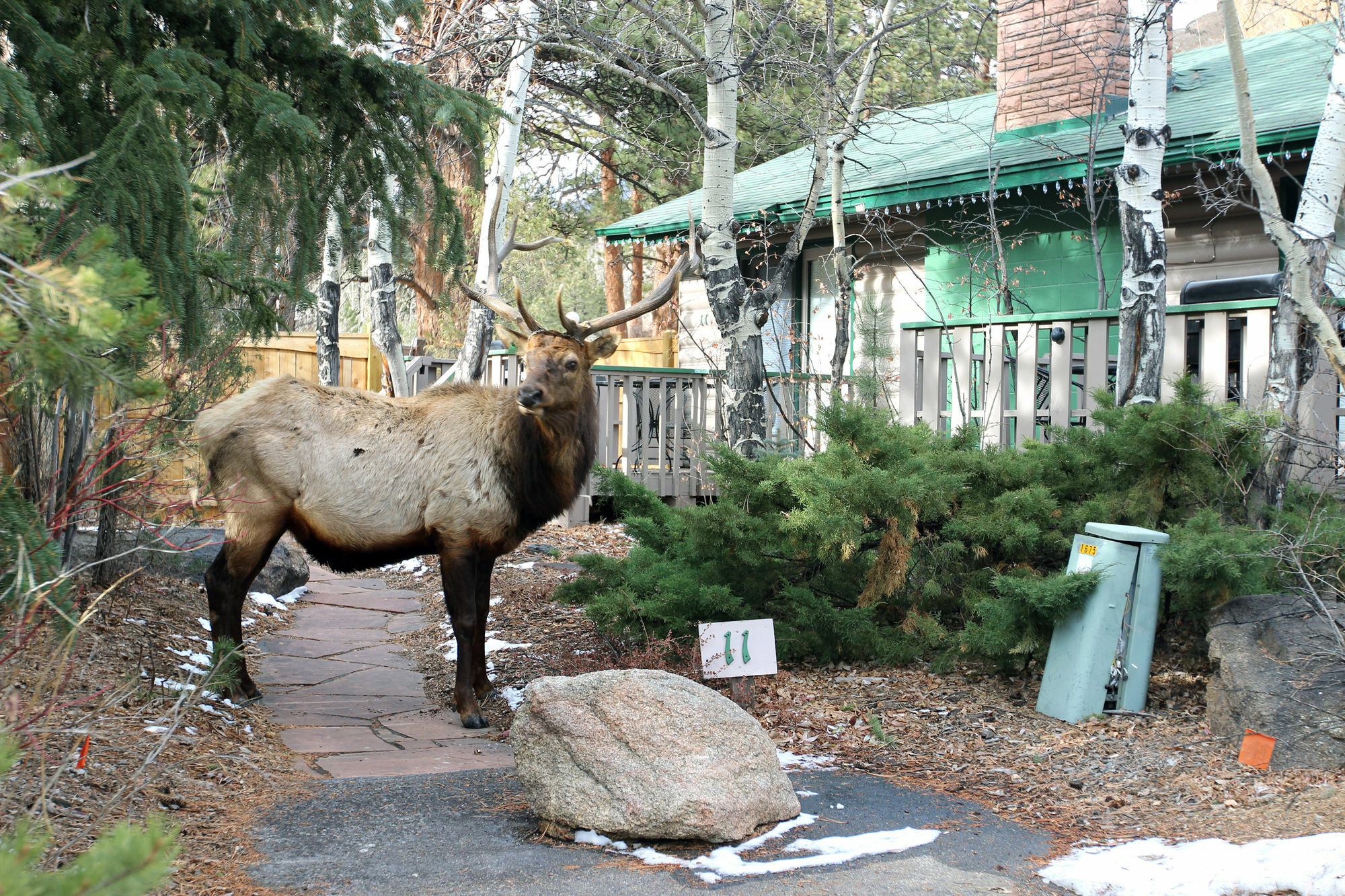 Sunnyside Knoll Resort Естес Парк Екстериор снимка